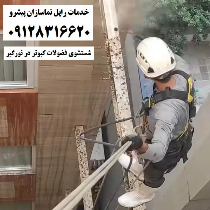 شستشوی فضولات کبوتر در نورگیر